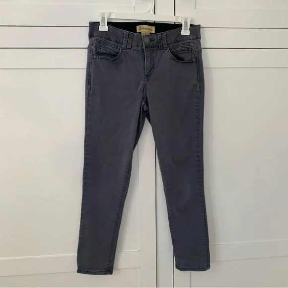 Democracy Ab Technology Gray Skinny Jeans Size 4 - Picture 1 of 7
